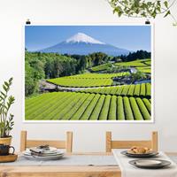Klebefieber Poster Teefelder vor dem Fuji