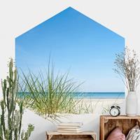 Klebefieber Hexagon Fototapete selbstklebend Ostseeküste