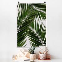 Klebefieber Poster Blick durch grüne Palmenblätter