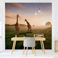 Klebefieber Fototapete Natur Surreal Giraffes