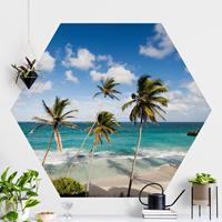 Klebefieber Hexagon Fototapete selbstklebend Beach of Barbados
