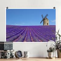 Klebefieber Poster Lavendelduft in der Provence