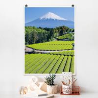 Klebefieber Poster Matt inkl. Posterklammern Teefelder vor dem Fuji