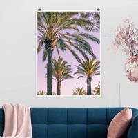 Klebefieber Poster Palmen im Sonnenuntergang