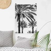 Klebefieber Poster Palmen im Sonnenuntergang Schwarz-Weiß