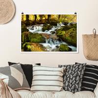 Klebefieber Poster Wasserfall herbstlicher Wald