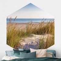 Klebefieber Hexagon Fototapete selbstklebend Stranddüne am Meer