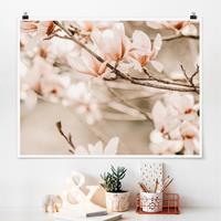 Klebefieber Poster Magnolienzweige im Vintagestil