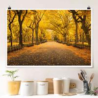 Klebefieber Poster Herbst im Central Park