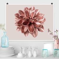 Klebefieber Poster Fotografie Dahlie Blume Rosegold Metallic