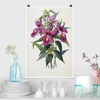 Klebefieber Poster Maxim Gauci - Orchidee I