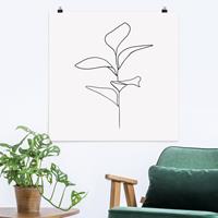 Klebefieber Poster Line Art Pflanze Blätter Schwarz Weiß