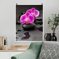 Klebefieber Poster Pinke Orchideenblüten auf Steinen mit Tropfen