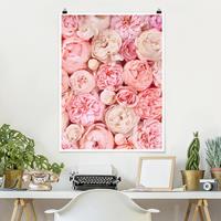 Klebefieber Poster Rosen Rosé Koralle Shabby