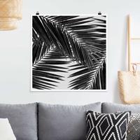 Klebefieber Poster Blick durch Palmenblätter schwarz weiß