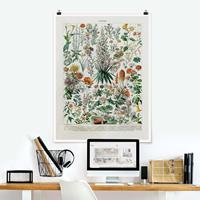 Klebefieber Poster Vintage Lehrtafel Blumen I