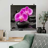 Klebefieber Poster Pinke Orchideenblüten auf Steinen mit Tropfen