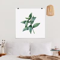 Klebefieber Poster Aquarell Eucalyptus III