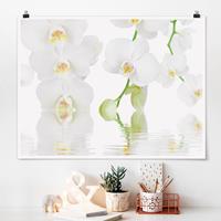Klebefieber Poster Wellness Orchidee - Weiße Orchidee