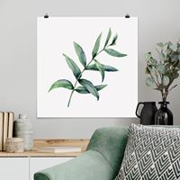 Klebefieber Poster Aquarell Eucalyptus I