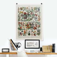 Klebefieber Poster Vintage Lehrtafel Blumen II