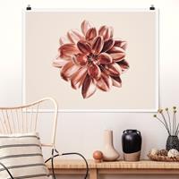 Klebefieber Poster Fotografie Dahlie Rosegold Metallic Rosa