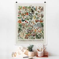 Klebefieber Poster Vintage Lehrtafel Blumen III