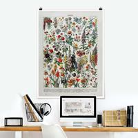 Klebefieber Poster Vintage Lehrtafel Blumen IV