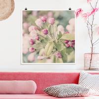 Klebefieber Poster Apfelblüte Bokeh rosa