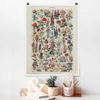 Klebefieber Poster Vintage Lehrtafel Blumen V