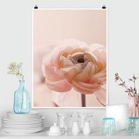 Klebefieber Poster Rosa Blüte im Fokus