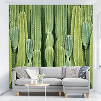 Bilderwelten Mustertapete Kaktus Wand