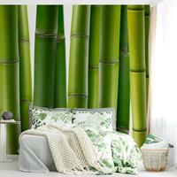 Bilderwelten Fototapete Bambuspflanzen