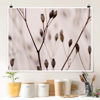 Klebefieber Poster Dunkle Knospen am Wildblumenzweig