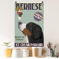 Bilderwelten Poster Tiere - Hochformat Berner Sennenhund mit Eis
