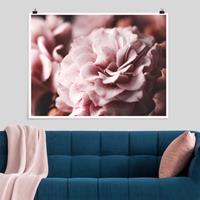 Klebefieber Poster Shabby Rosa Rose Pastell