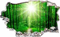 Wall-Art Wandfolie Sunny forest