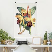 Klebefieber Poster Walter Hood Fitch - Orchidee