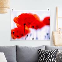 Klebefieber Poster Magic Poppies