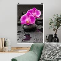 Klebefieber Poster Pinke Orchideenblüten auf Steinen mit Tropfen