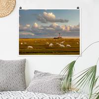 Klebefieber Poster Nordsee Leuchtturm mit Schafsherde