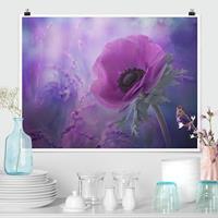 Klebefieber Poster Anemonenblüte in Violett