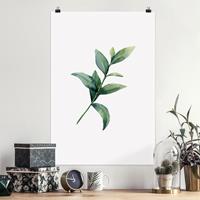 Klebefieber Poster Aquarell Eucalyptus II