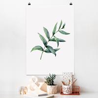 Klebefieber Poster Aquarell Eucalyptus I