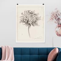 Klebefieber Poster Botanische Studie Chrysantheme I