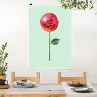 Klebefieber Poster Rose mit Lollipop