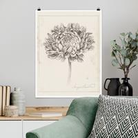 Klebefieber Poster Botanische Studie Chrysantheme II