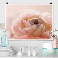 Klebefieber Poster Rosa Blüte im Fokus