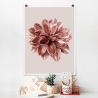 Klebefieber Poster Fotografie Dahlie Blume Rosegold Metallic