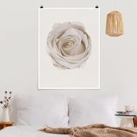 Klebefieber Poster Wasserfarben - Pretty White Rose